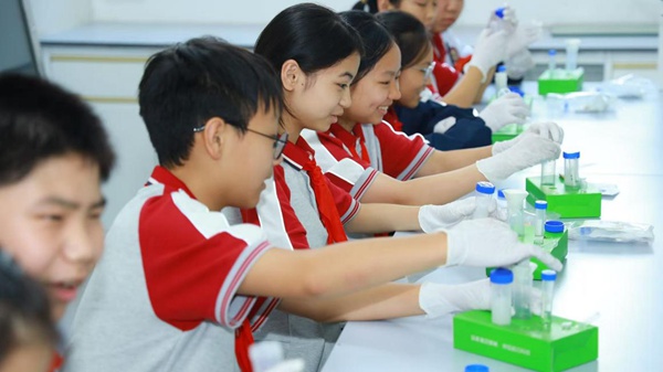 金鳳實(shí)驗(yàn)學(xué)校學(xué)生正在做實(shí)驗(yàn)。張婷攝