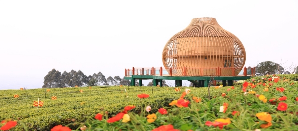 石筍山景區(qū)。石筍山景區(qū)供圖