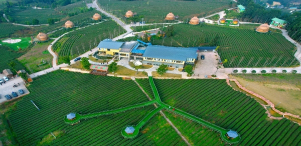 伴山茶宿。周興健攝