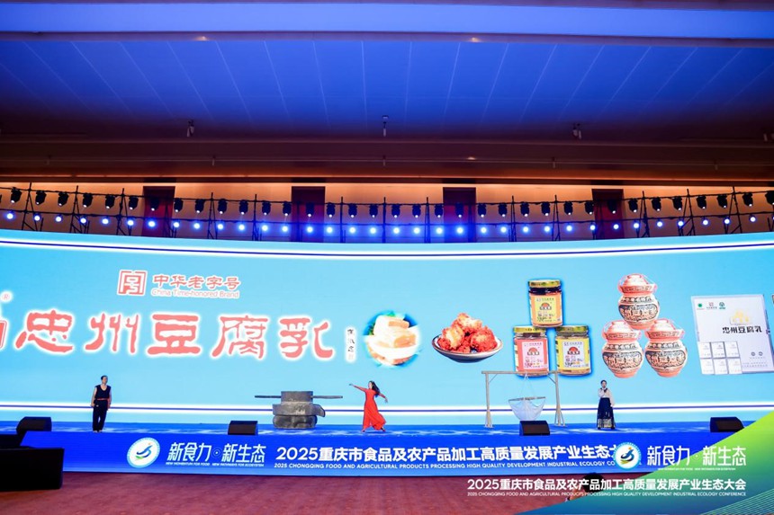 忠州豆腐乳爆品發(fā)布。主辦方供圖