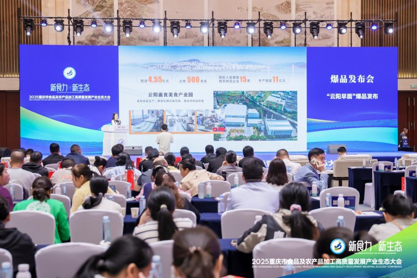 云陽早面爆品發(fā)布。主辦方供圖