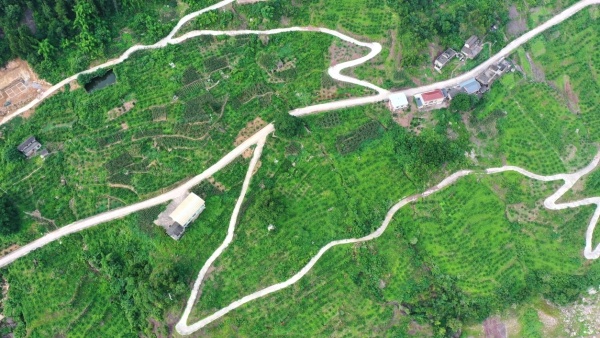 龍洞鎮(zhèn)龍升村柑橘園。方劍攝