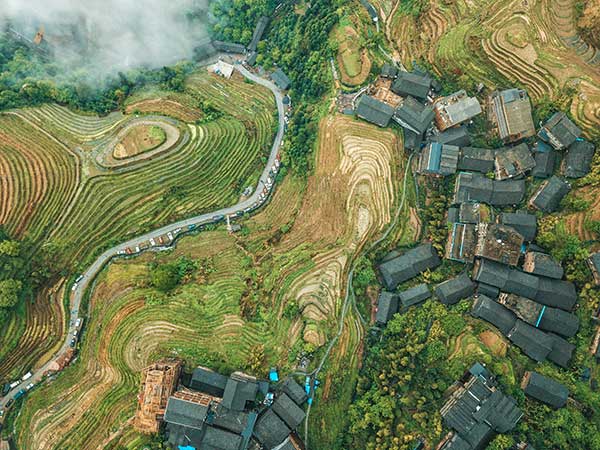 助力鄉(xiāng)村振興。廣發(fā)銀行重慶分行供圖