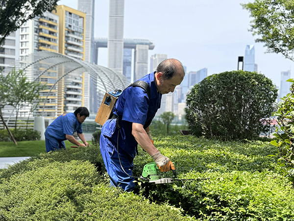 園區(qū)綠化養(yǎng)護(hù)。招商積余重慶公司供圖