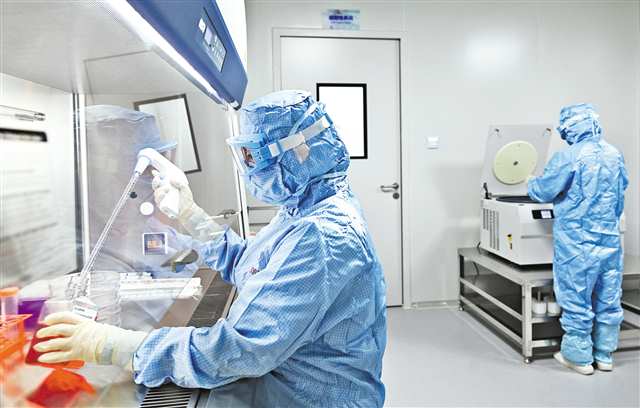 十月二十二日，金鳳實驗室，金鳳干細胞中心科研人員正在做實驗。首席記者 龍帆 攝\視覺重慶