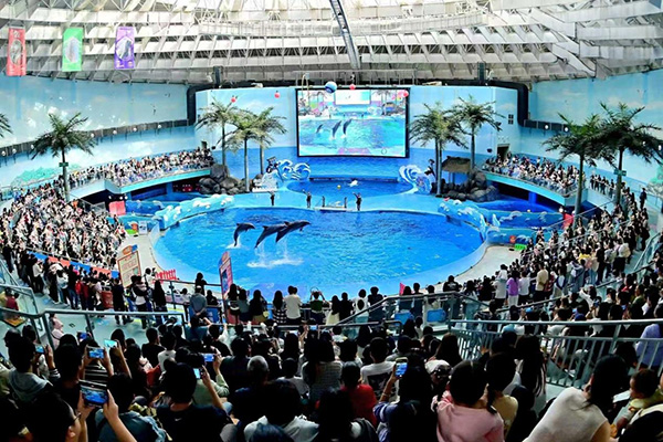 老友出行計劃。東原仁知供圖