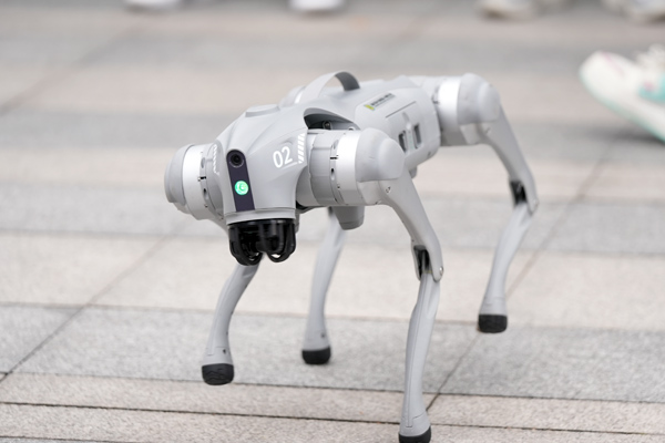 學(xué)校舉辦科技節(jié)活動(dòng)。西南大學(xué)附中供圖