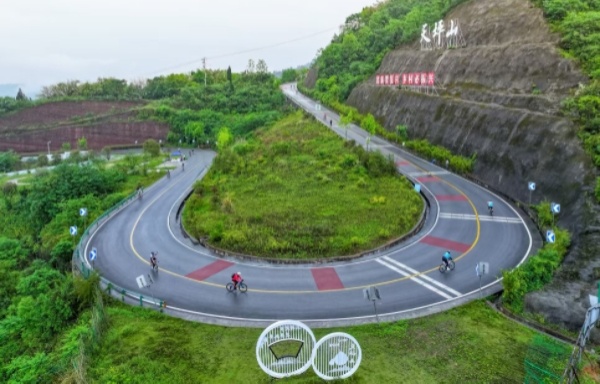 往屆賽事資料圖。劉紀(jì)湄?cái)z