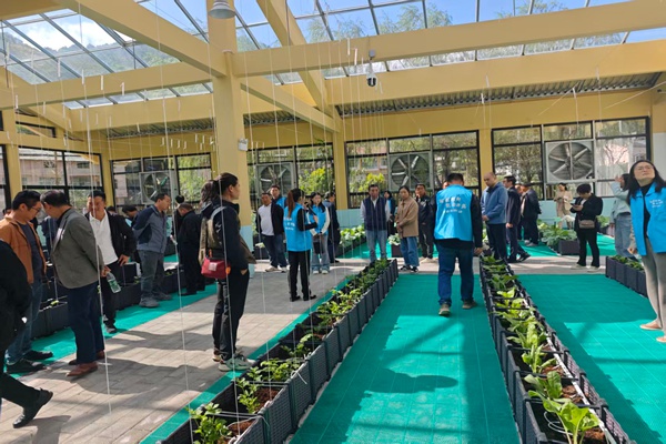 活動現(xiàn)場。主辦方供圖