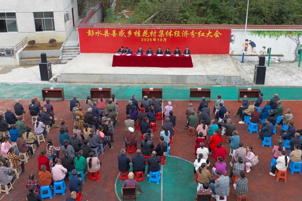 善感鄉(xiāng)桂花村舉行2025 年度村級(jí)集體經(jīng)濟(jì)分紅大會(huì)。趙勇攝