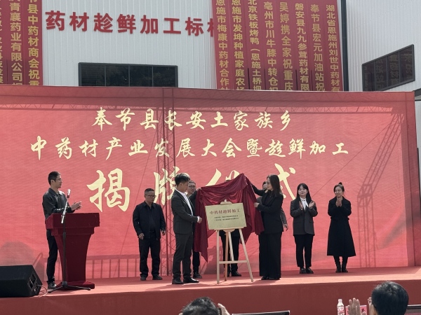 活動(dòng)現(xiàn)場(chǎng)。主辦方供圖