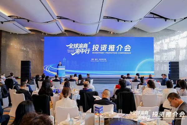 全球渝商渝中行投資推介會現(xiàn)場。主辦方供圖