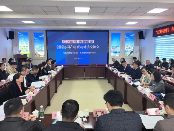 活動現(xiàn)場。兩江協(xié)同創(chuàng)新區(qū)供圖