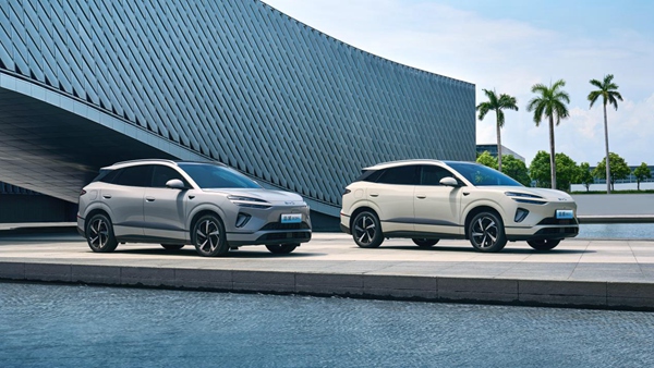 海獅06。受訪者供圖