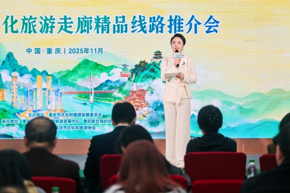 2025巴蜀文化旅游走廊精品線路推介會現(xiàn)場?；顒臃焦﹫D