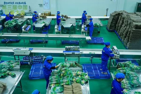 彭水晶絲苕粉生產(chǎn)線。主辦方供圖