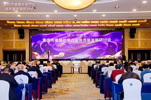 研討會現(xiàn)場。主辦方供圖