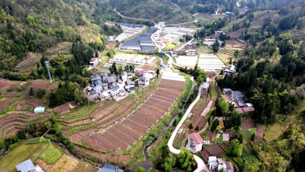 外郎鄉(xiāng)大花蔬菜基地全景圖。外郎鄉(xiāng)供圖