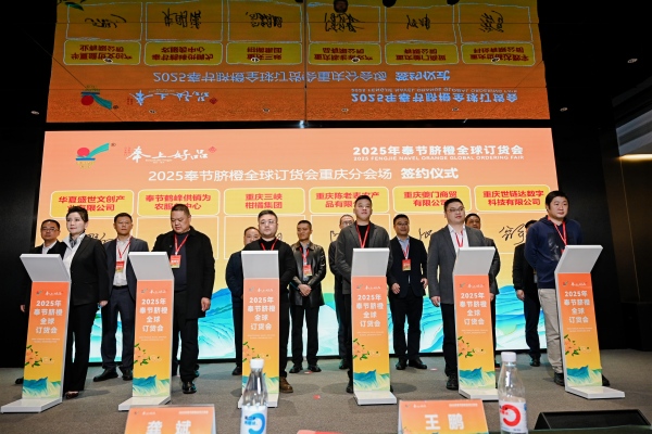 簽約儀式現(xiàn)場。主辦方供圖