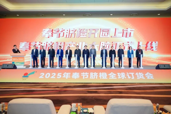 活動現(xiàn)場。奉節(jié)縣委宣傳部供圖