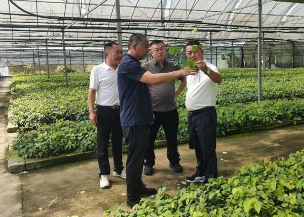 上壩鄉(xiāng)為企服務隊到中藥材加工企業(yè)走訪。上壩鄉(xiāng)供圖