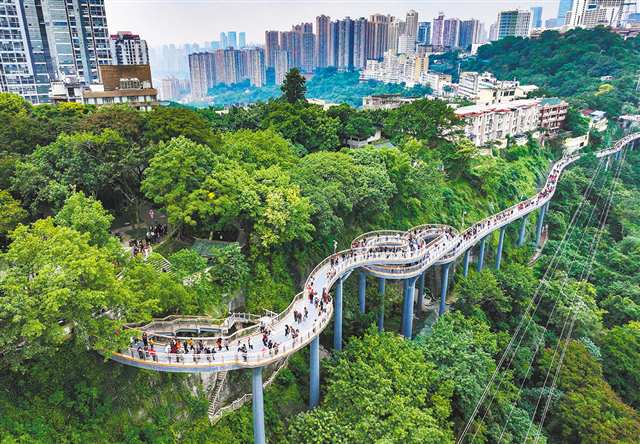 圖為11月12日，重慶半山崖線鵝嶺棧橋，眾多市民在打卡觀景（無人機照片）。 記者 鄭宇 攝/視覺重慶