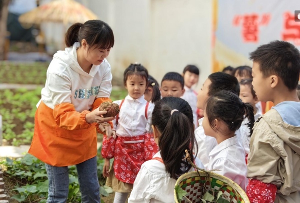 “紅葉農(nóng)場”內(nèi)，孩子們自己動手挖紅薯。巫峽幼兒園供圖
