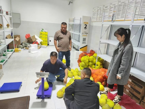 駐村工作隊(duì)幫助村集體銷售農(nóng)產(chǎn)品。江津區(qū)委宣傳部供圖