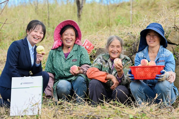 帶動(dòng)農(nóng)戶增收。郵儲(chǔ)銀行重慶分行供圖
