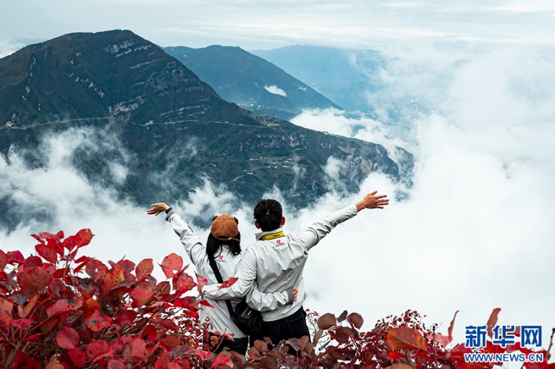 游客沉醉于巫山紅葉美景。新華網(wǎng)發(fā)（簡(jiǎn)毅 攝）