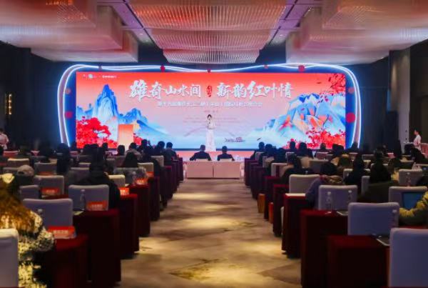 推介會現(xiàn)場?；顒又鬓k方供圖