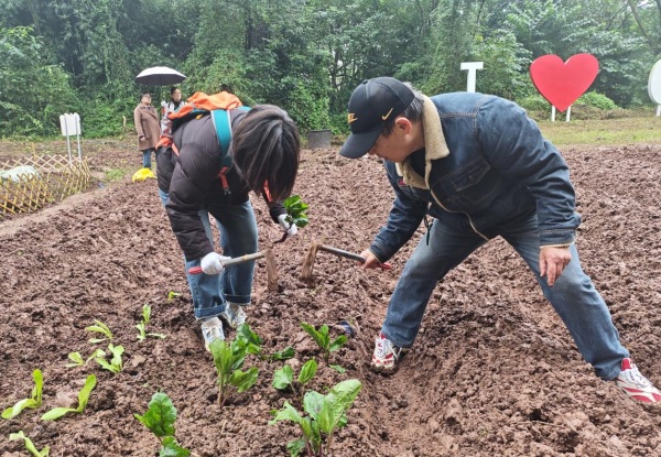 老教師向?qū)W生傳授播種技巧。重慶理工大學(xué)供圖