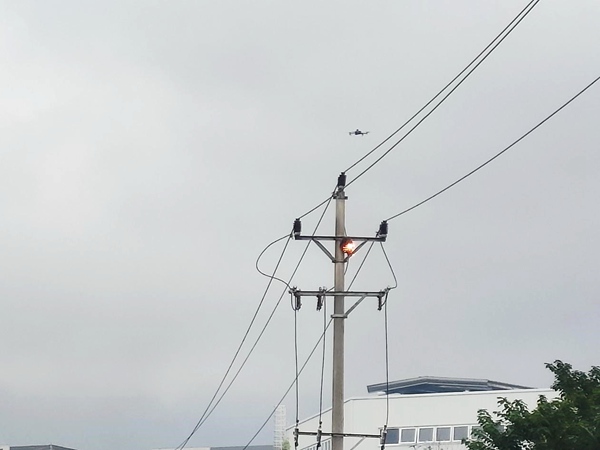 激光狙擊馬蜂窩。國網(wǎng)重慶永川供電公司供圖