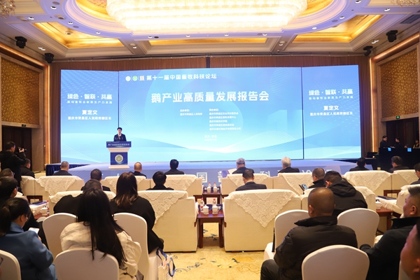 報告會現(xiàn)場。主辦方供圖