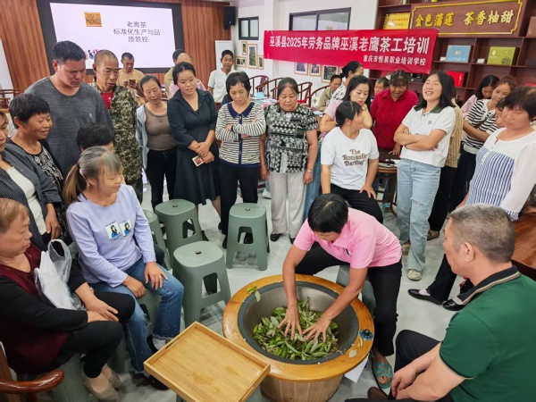 茶工培訓(xùn)。受訪者供圖