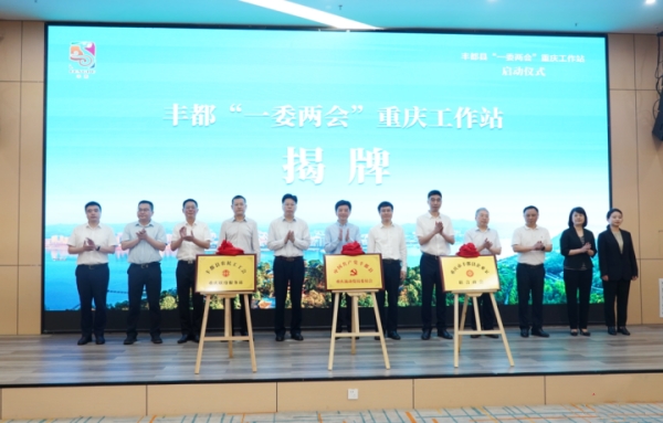 豐都“一委兩會(huì)”重慶工作站揭牌成立。豐都縣融媒體中心供圖