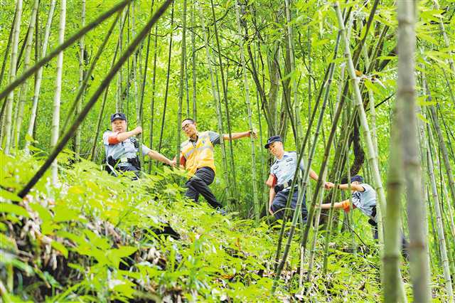 金佛山方竹筍林區(qū)，李宗明（左一）和同事徒步巡山。（受訪者供圖）