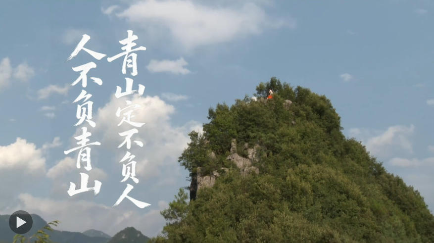 崖柏重生，生生不息