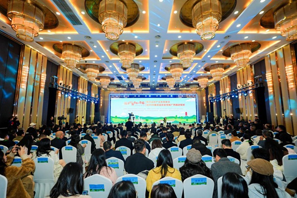 活動現(xiàn)場。主辦方供圖