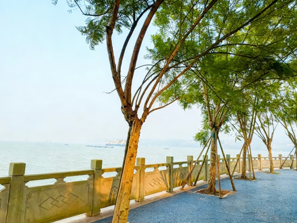 長江岸線一隅。洛磧鎮(zhèn)供圖