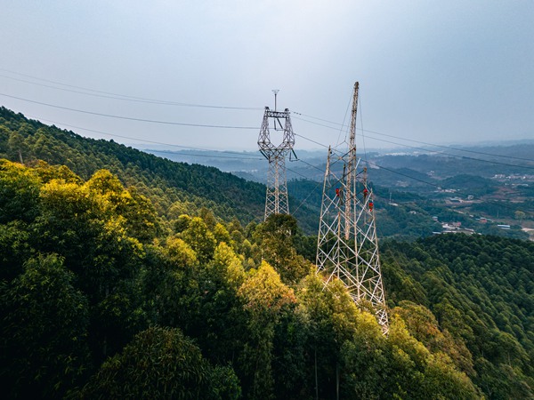 蘇郵東線220kV線路增容工程組塔作業(yè)現(xiàn)場。國網(wǎng)永川供電公司供圖