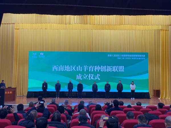 活動現(xiàn)場。主辦方供圖