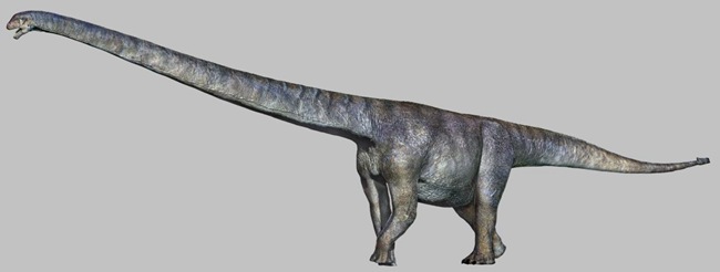 三江馬門溪龍復原圖。重慶市規(guī)劃和自然資源局供圖