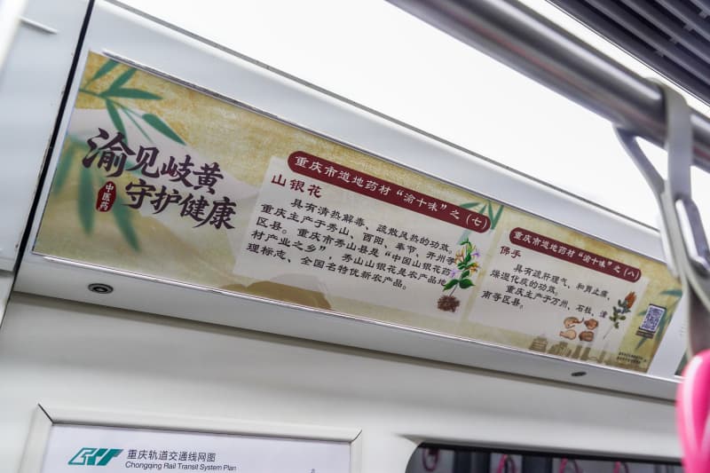 “渝見(jiàn)岐黃—城市之行”中醫(yī)藥文化主題軌道專列內(nèi)部。 市衛(wèi)生健康委供圖