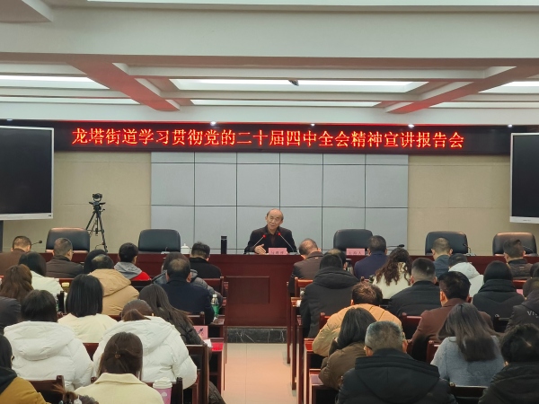 宣講會現(xiàn)場。龍塔街道供圖