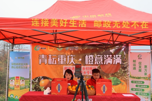 直播現(xiàn)場(chǎng)。冉立攝