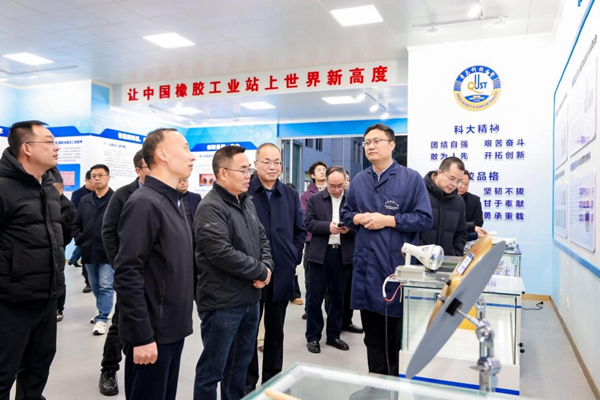 重慶代表團(tuán)實(shí)地調(diào)研。主辦方供圖